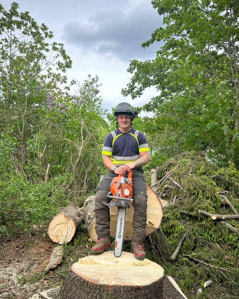 Hampus Andén, Andéns Trädservice
