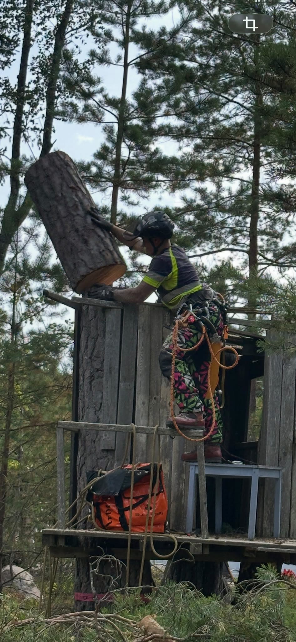 Precision från skylift/plattform — Andéns Trädservice